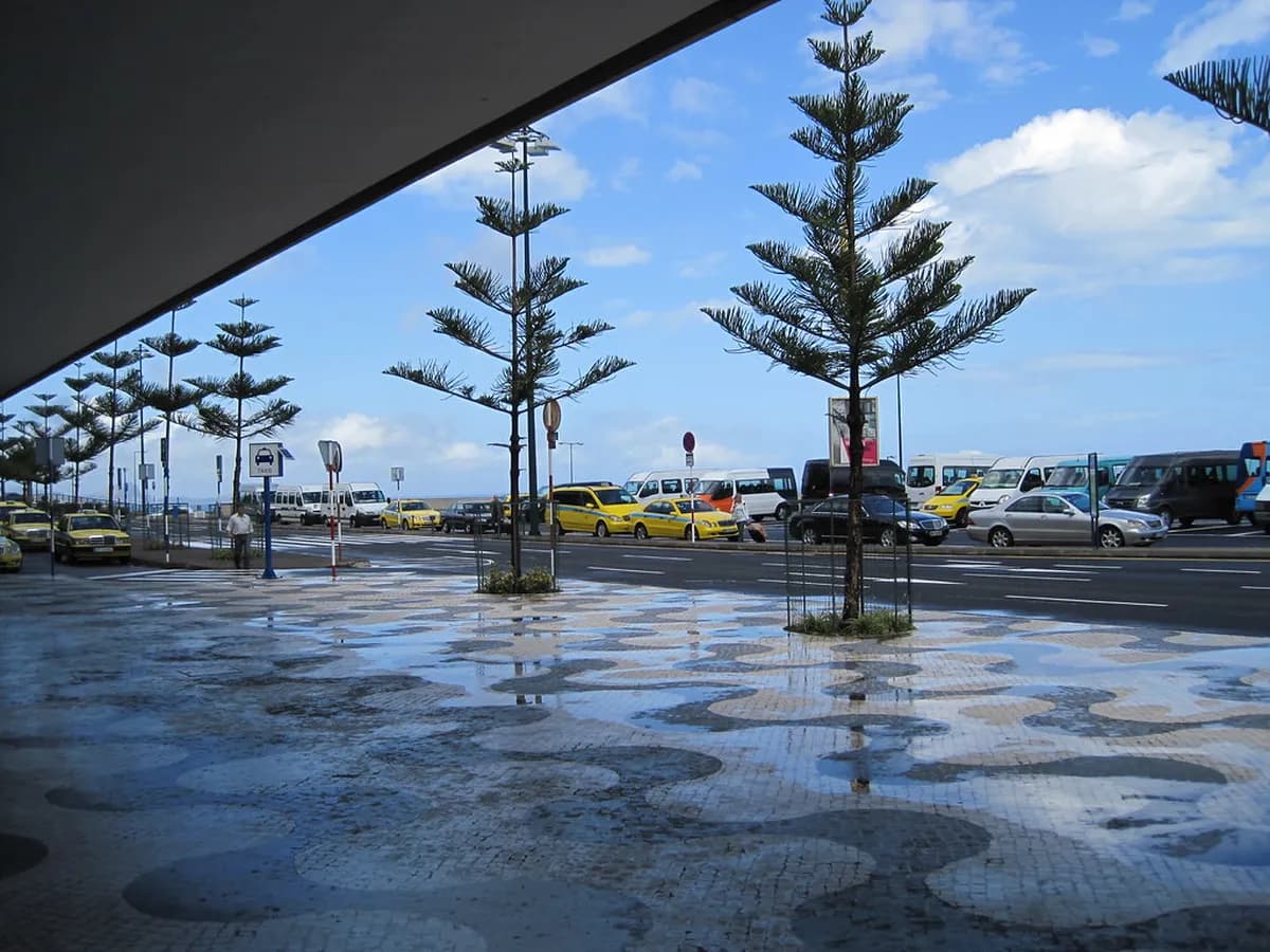 8 Key Things to Know About Funchal Public Transport